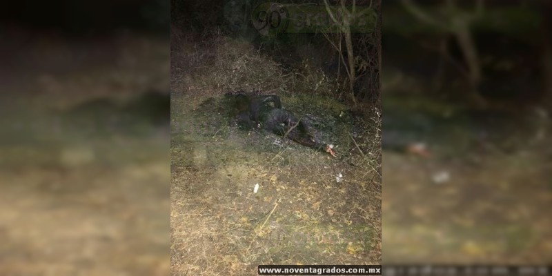 Encuentran cadáver calcinado en Buenavista, Michoacán - Noventa Grados