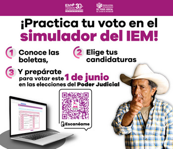 Instituto Electoral de Michoacán