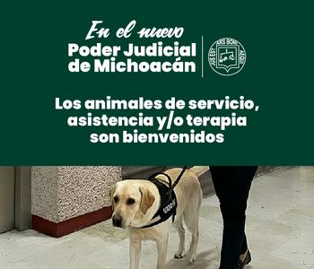 
Poder Judicial de Michoacán