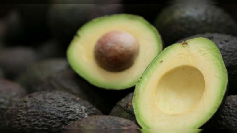 Busca Semaccdet transitar hacia el cultivo sustentable del aguacate 