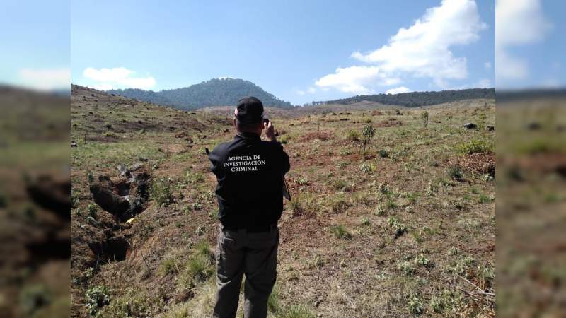 Investiga FGR deforestación en Salvador Escalante, Michoacán - Foto 0 