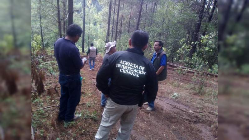Investiga FGR deforestación en Salvador Escalante, Michoacán - Foto 1 