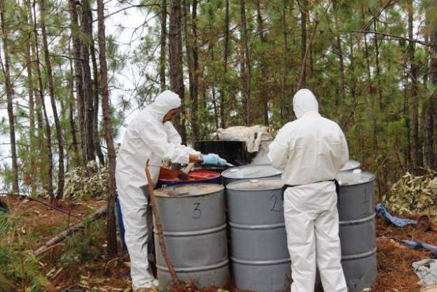 Aseguran narcolaboratorio y detienen a tres con armas en la Sierra de Aguililla, Michoacán - Foto 0 