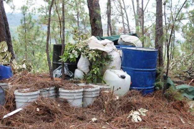 Aseguran narcolaboratorio y detienen a tres con armas en la Sierra de Aguililla, Michoacán - Foto 3 
