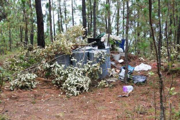 Aseguran narcolaboratorio y detienen a tres con armas en la Sierra de Aguililla, Michoacán - Foto 4 