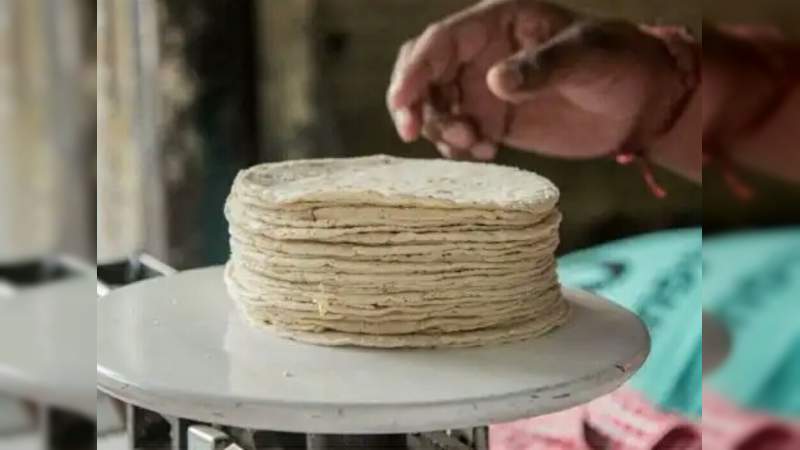  Precio del kilo de tortilla subiría hasta en un 47% 