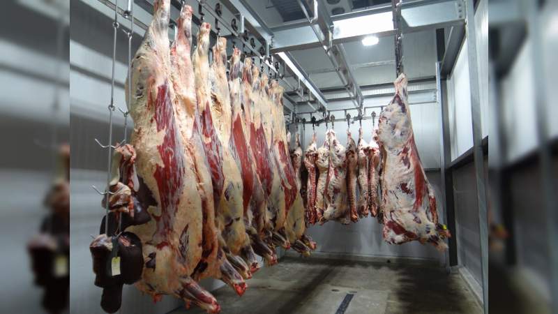 Garantizado el abasto de carne en Michoacán: Sedrua 