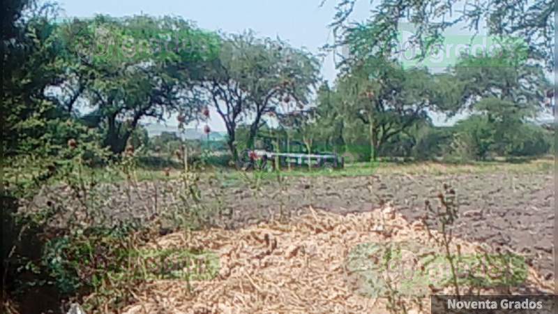 Joven sujeto es hallado muerto en campos de cultivo en Apaseo El Grande, Guanajuato  - Foto 1 