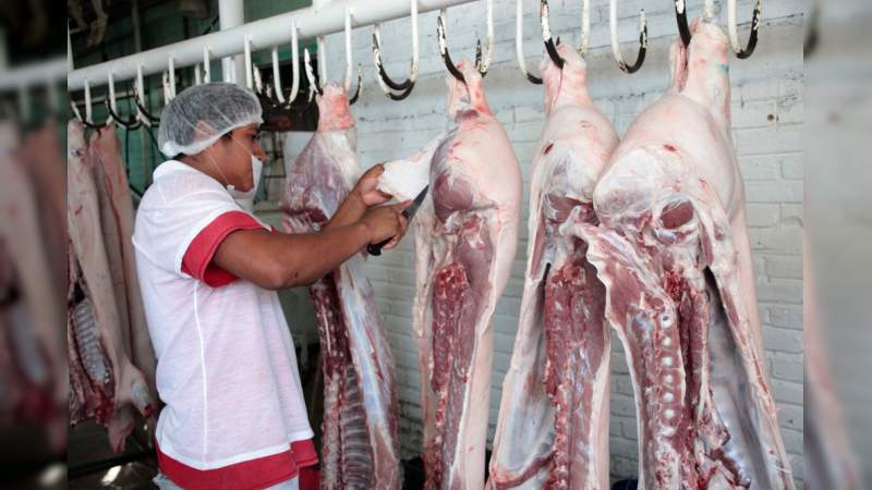 Por días santos, cerrarán rastros municipales: Sedrua - Foto 0 