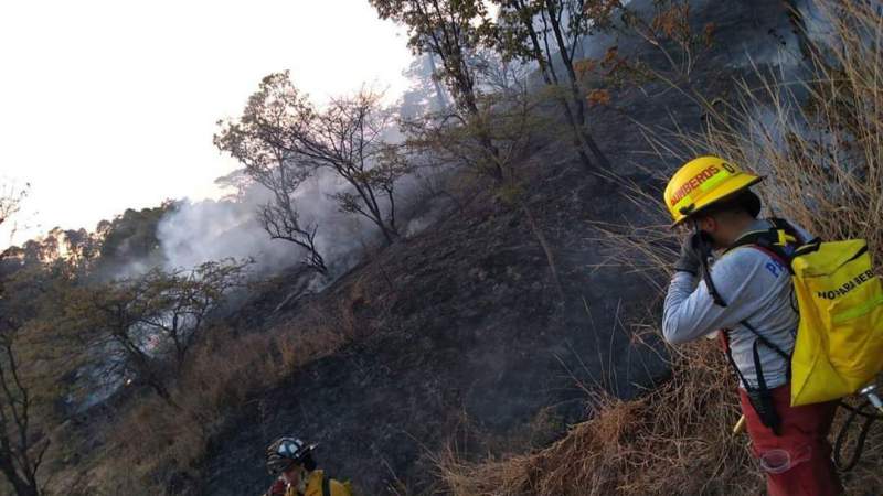 Restauración ecológica, clave para rehabilitar zonas siniestradas por incendios forestales: Ricardo Luna García   