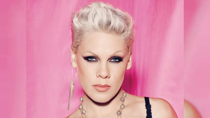 Pink y su pequeño hijo se libran del coronavirus y cuentan su experiencia.  