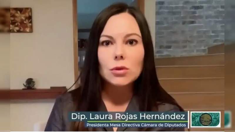Presidenta de la Cámara de Diputados donará 86 mil pesos para combatir el coronavirus 