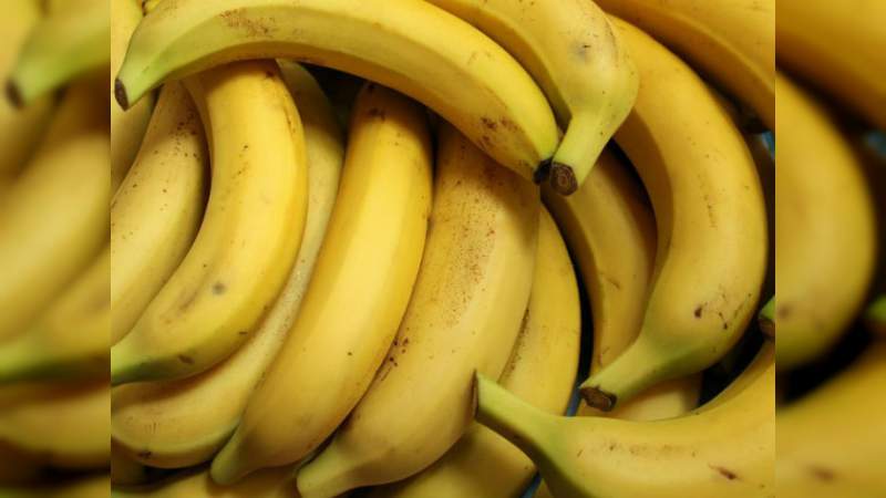 Aumenta el precio del kilogramo de plátano que se cultiva en la Región Apatzingán 