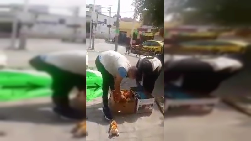 Artesanos de Tonalá cambiaban su trabajo por alimentos: Son multados y su mercancía, confiscada - Foto 1 