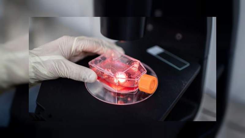 El coronavirus se transmitiría a través del semen 