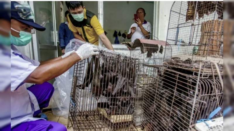 Detectan un nuevo caso de coronavirus en Wuhan 