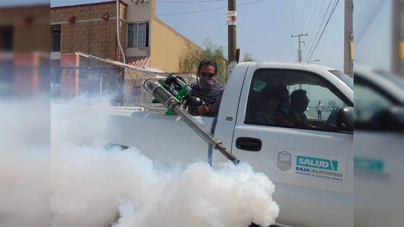 Fumigar calles es peligroso para la salud: OMS 