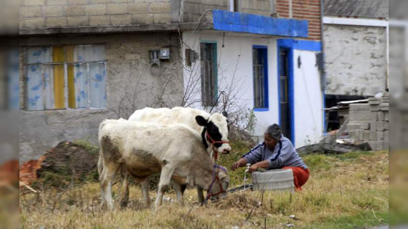 Pueblos pequeños y de pocos habitantes son los regresan a la nueva normalidad 