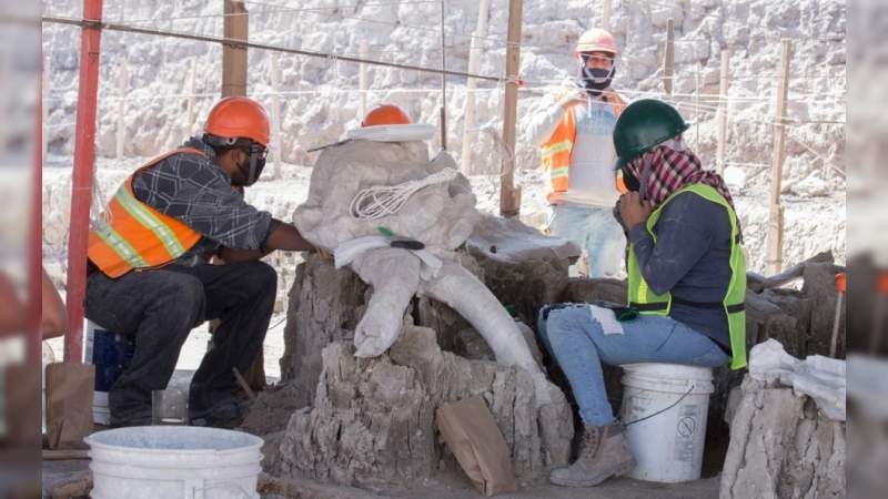 Sedena rescata 132 restos de mamuts en Aeropuerto San Lucia  