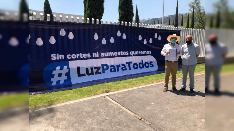 Diputados Federales del PAN exigen en Michoacán apoyo federal para el pago de la luz eléctrica durante la contingencia sanitaria - Foto 0 