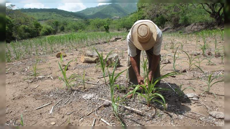 Prestamista usa al Cártel Jalisco Nueva Generación para cobrar deudas a campesinos de Nayarit 