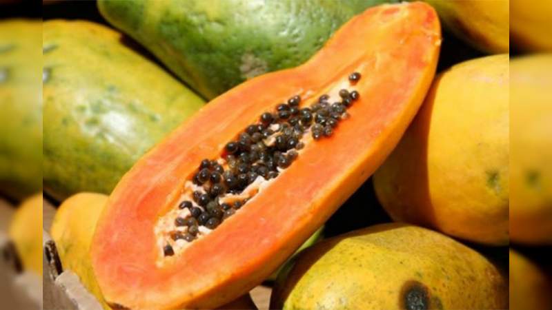 Con el inicio de la nueva normalidad, se recupera el precio de la papaya que se cultiva en la región Apatzingán 