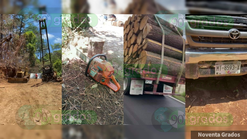 Tala clandestina, el nuevo negocio del crimen organizado en el Triángulo Dorado, Michoacán y Guerrero 