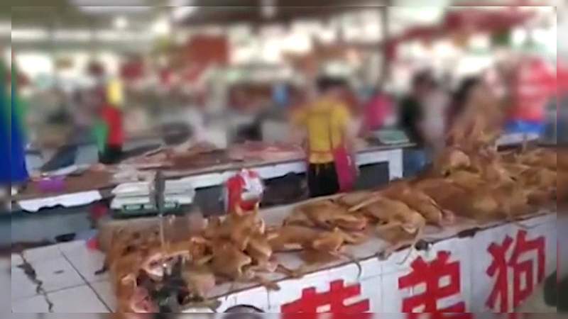 China inaugura su feria anual de carne de perro, sin importarles la pandemia mundial del Covid-19 