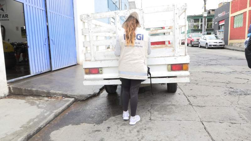 Tras la cuarentena, encuestadores del Inegi regresan a sus actividades
