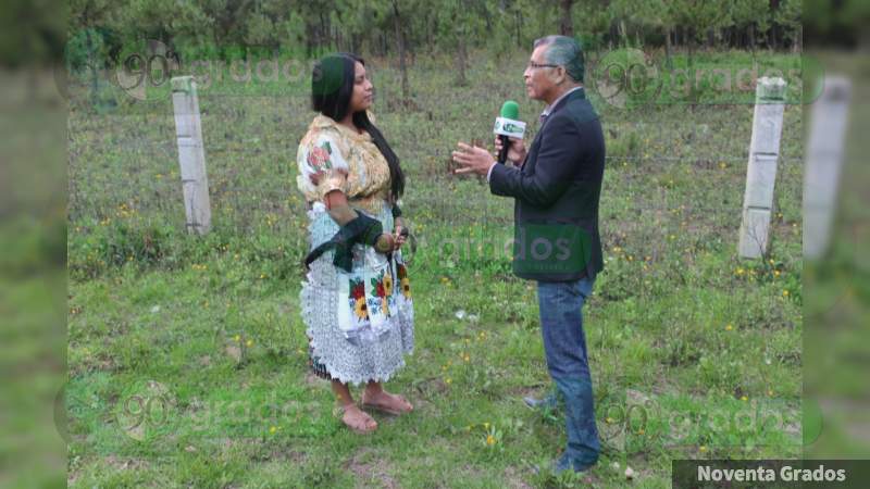 Discriminación, racismo y desigualdad sufren los pueblos originarios: Teresa Perucho activista indígena de la Meseta Purépecha 