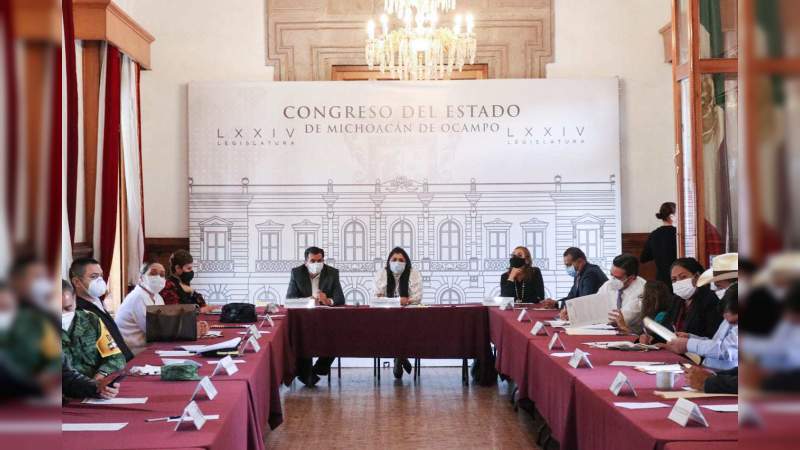 Sostienen diputados encuentro con autoridades de salud en el marco del “Plan Emergente Legislativo COVID-19” 