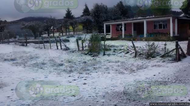Instruye Sedrua supervisar daños en el campo; hay seguro catastrófico‏  