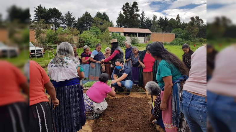 Cultivo de hierbas aromáticas con Agricultura Sustentable, en Santa Fe de la Laguna 