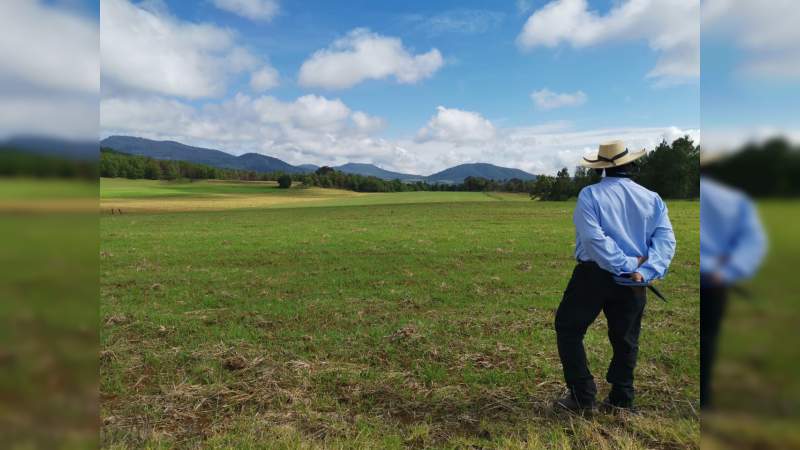 Mejoran cultivos de avena con Agricultura Sustentable en Erongarícuaro, Michoacán 