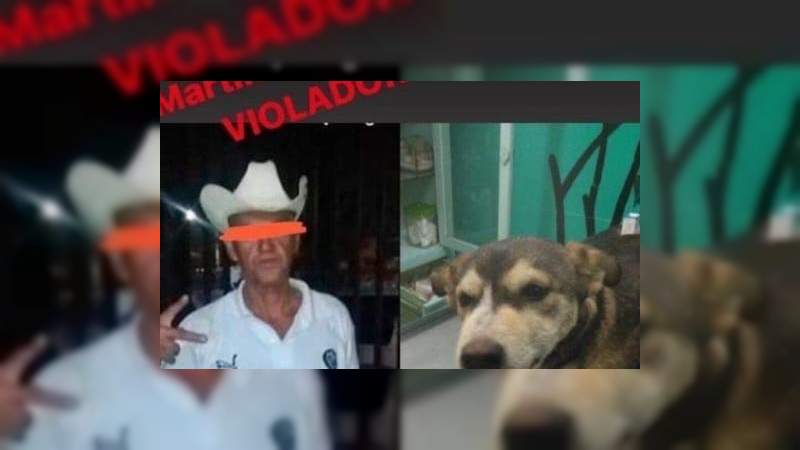 Dan un año de cárcel en Neza al hombre que violó y mató a la perrita Mati 