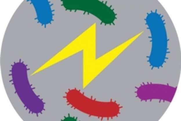 Las bacterias se comunican mediante señales eléctricas, igual que las neuronas 