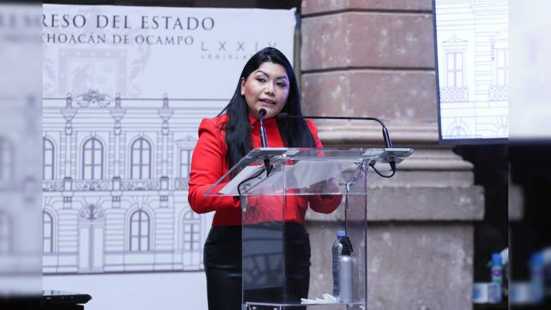 Congreso debe hacer contrapeso a la opacidad y la discrecionalidad, no ser comparsa: Brenda Fraga 