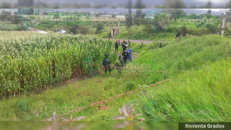Encuentran un cadáver baleado en un campo de maíz en Cotija