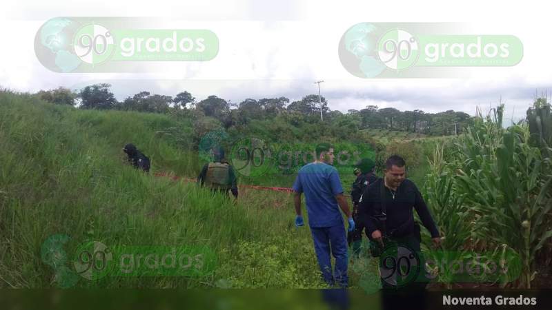 Encuentran un cadáver baleado en un campo de maíz en Cotija