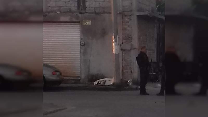 Mueren cinco personas en ataque armado contra taquería en Irapuato, Guanajuato 