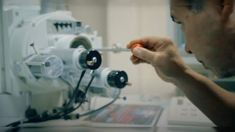 Aprueba CONACYT ocho proyectos más de investigación para la UMSNH