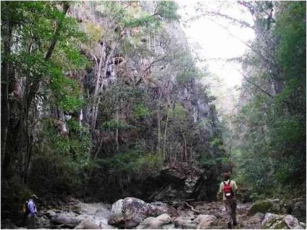 Invita SEMARNACC a vacacionar en áreas naturales en Michoacán  