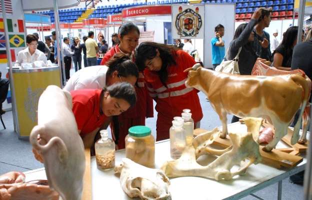 Del 15 al 17 de abril, la XXII Edición de la Expo Orienta 2015 - Foto 0 