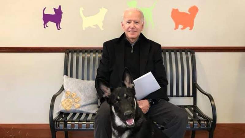 Joe Biden se fractura un pie jugando con su perro 