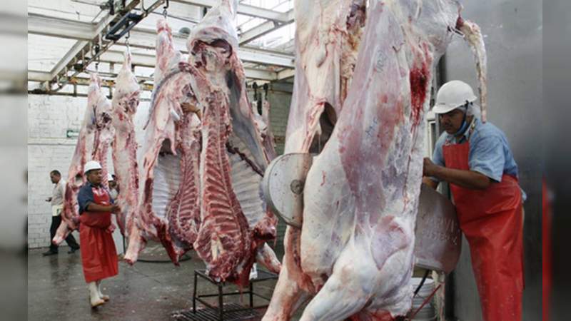 Produce Michoacán más de 251 mil toneladas de carne bovina 