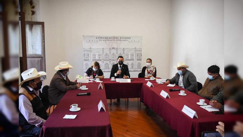 Visitar el santuario del Rosario en Ocampo, Michoacán, es detonar la economía local: Octavio Ocampo 