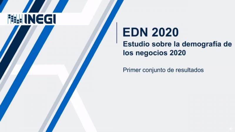Servicios privados no financieros, los más afectados en este año, según el estudio sobre la demografía de los negocios 2020 