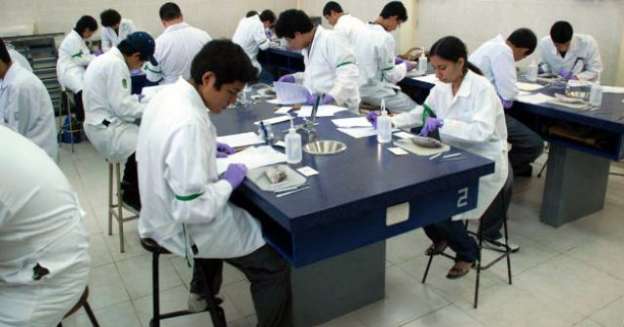 Abierta la convocatoria para Olimpiada de Biología en Michoacán - Foto 0 