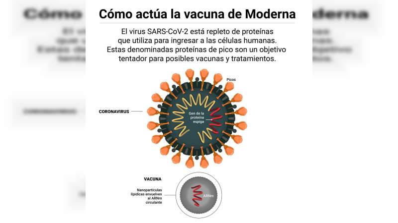 Esto es lo que se sabe de la Vacuna de Moderna contra el Covid-19 
