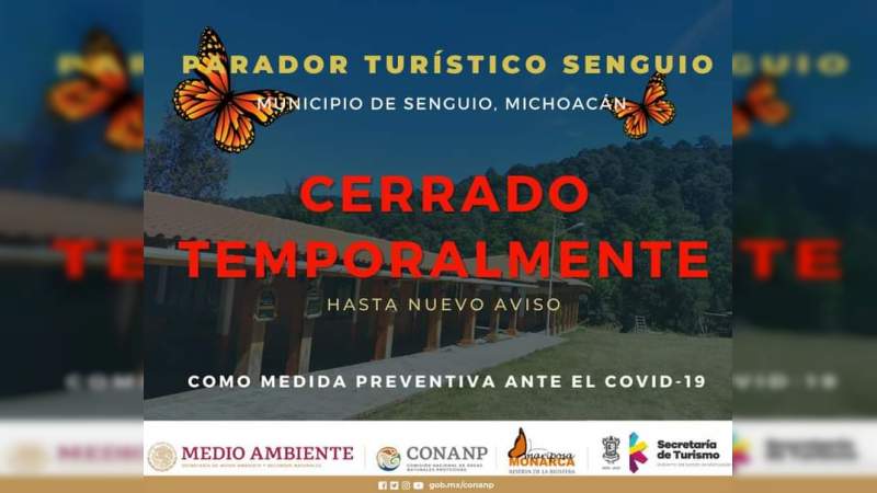 Por coronavirus, cierran Santuario de la Mariposa Monarca en Senguio, Michoacán 
